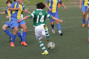 中国足球赛事直播流量与关注度指数追踪，中国足球关注度数据